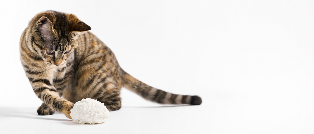 Waarom cassava kattenbakvulling goed werkt in automatische kattenbakken