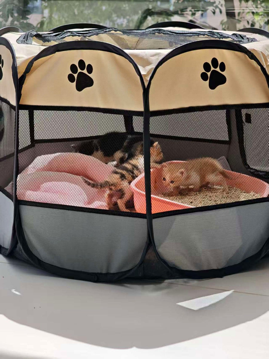 Les chatons se reposent dans un doux sac de transport