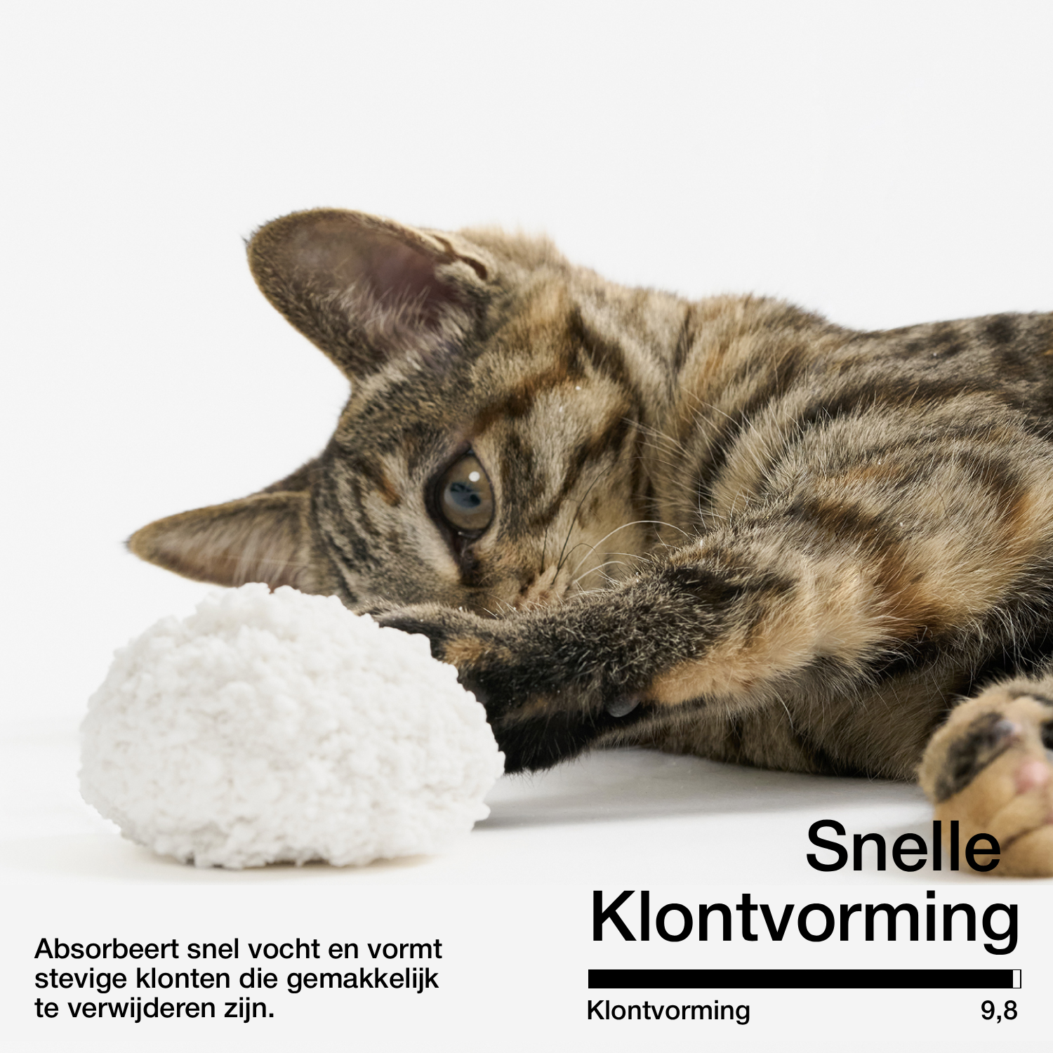 pidan Cassave Kattenbakvulling