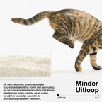 pidan Cassava & Tofu Cat Litter