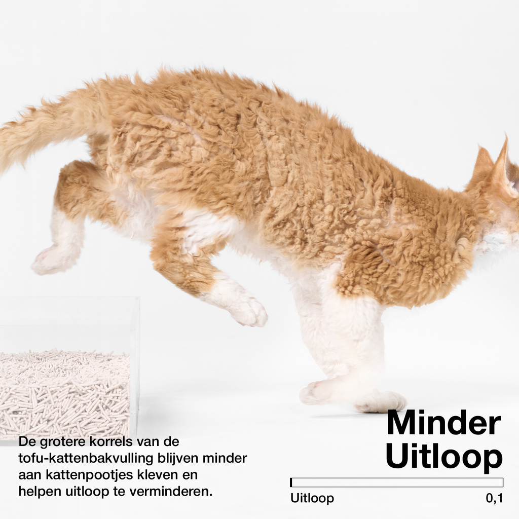 pidan Tofu Cat Litter