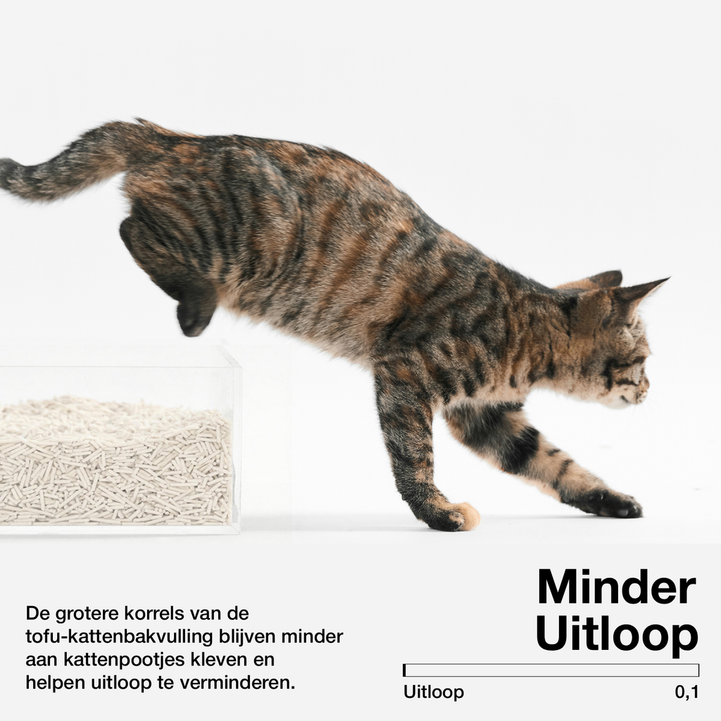 pidan Tofu Kattenbakvulling