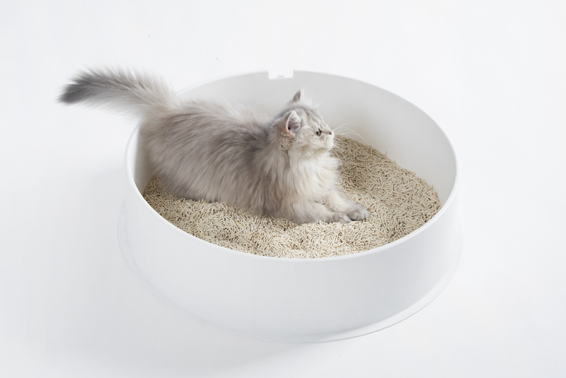 Tofu Kattenbakvulling: Een plantaardig alternatief voor dagelijks gebruik